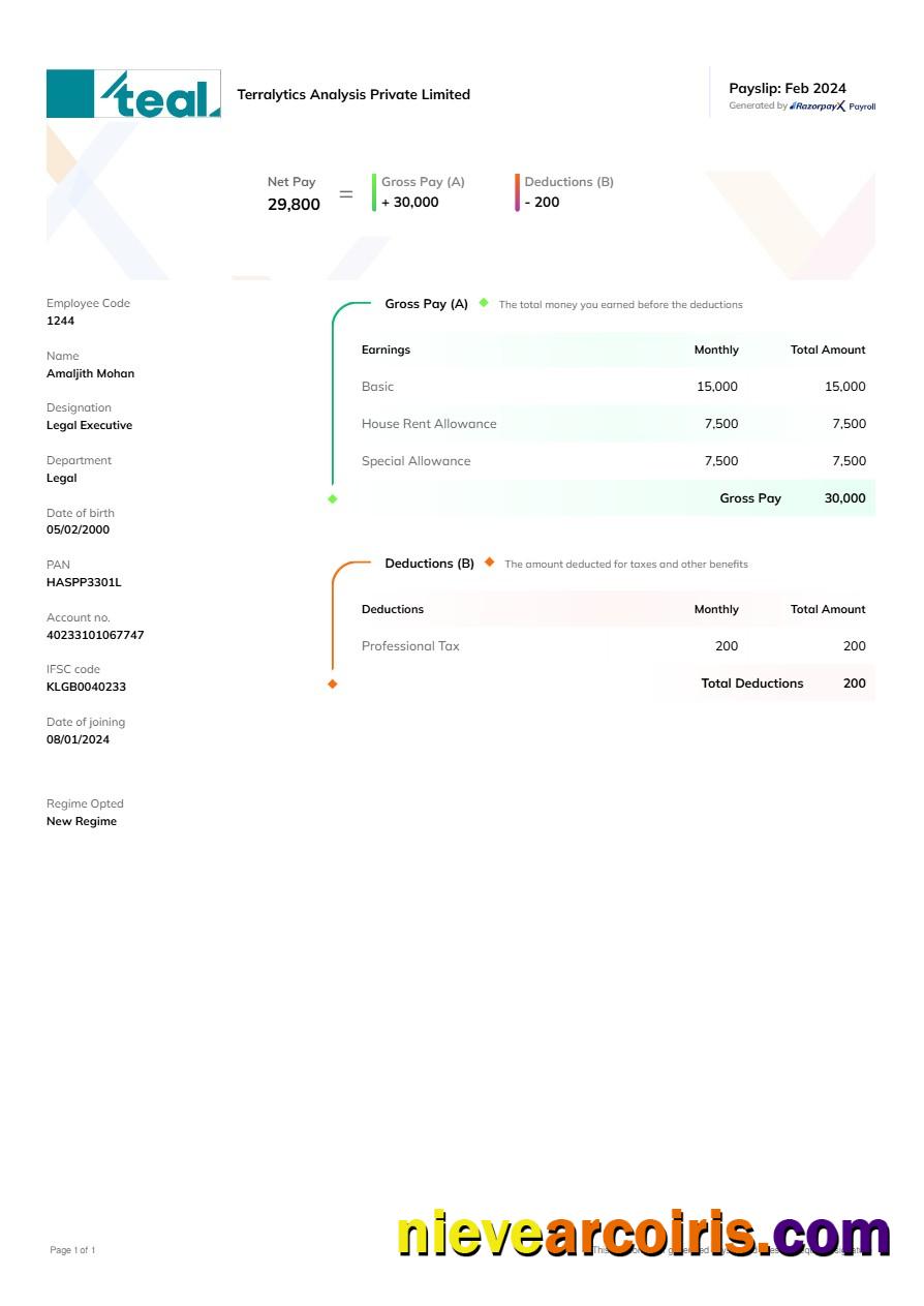 Terralytics Analysis payslip